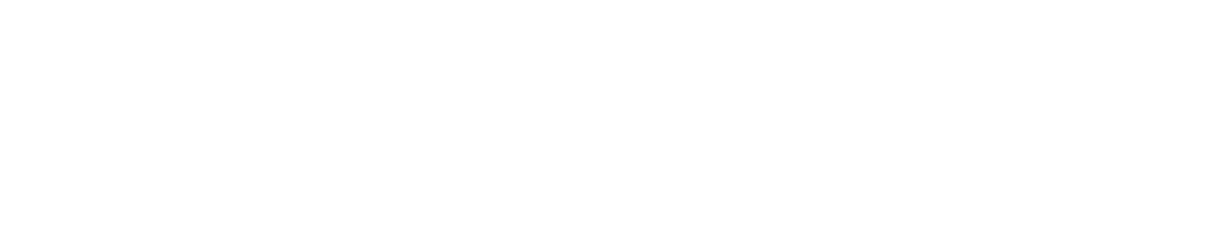 Secureye